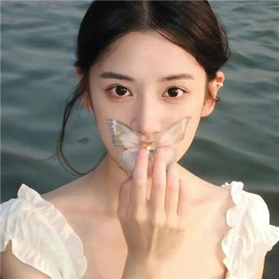 沸腾的群山2024