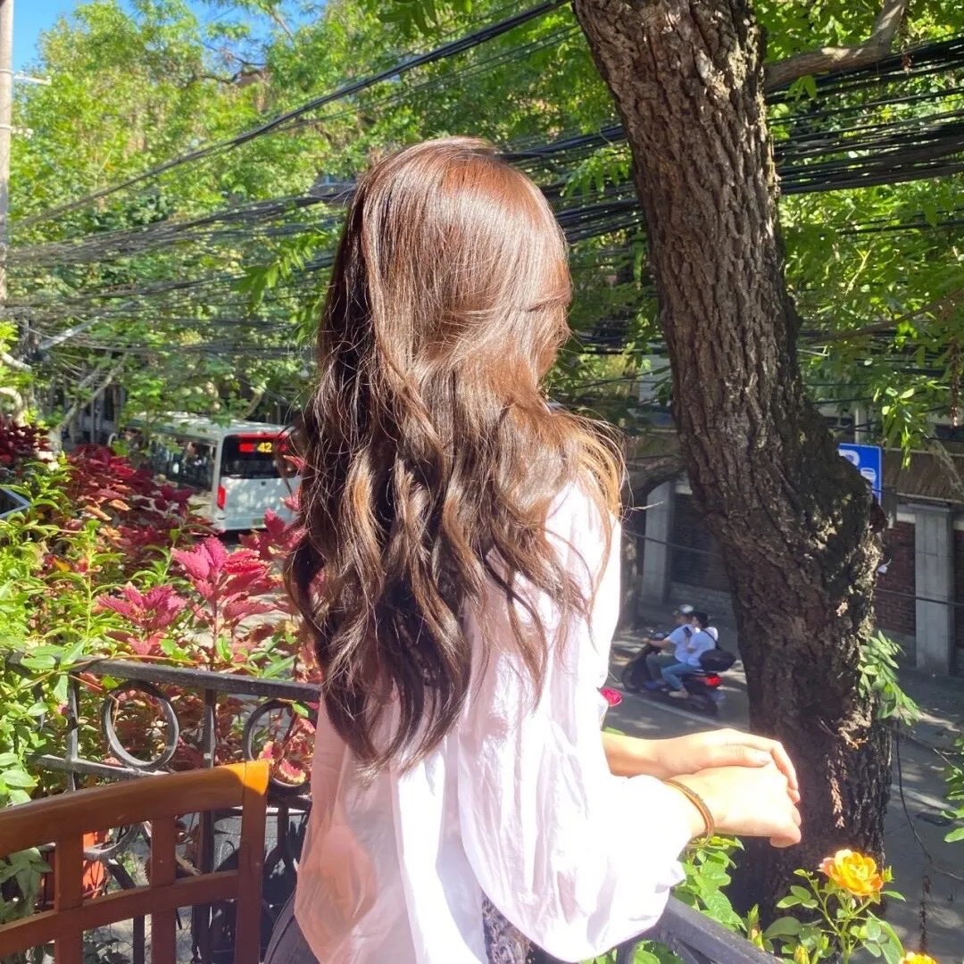13朵玫瑰